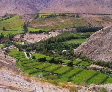 Valle de Elqui - Camino Cochiguaz.jpg